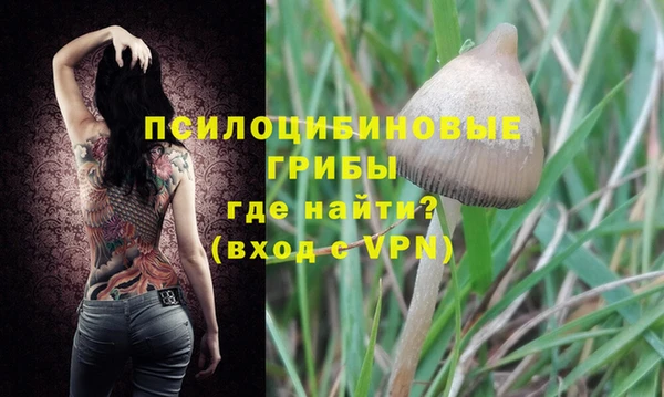 ECSTASY Новозыбков