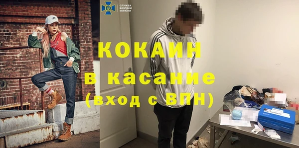 сатива Алзамай