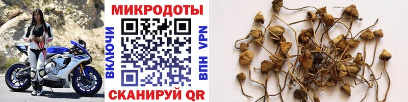 цена Чишмы MEGA как войти Галлюциногенные грибы Psilocybine cubensis